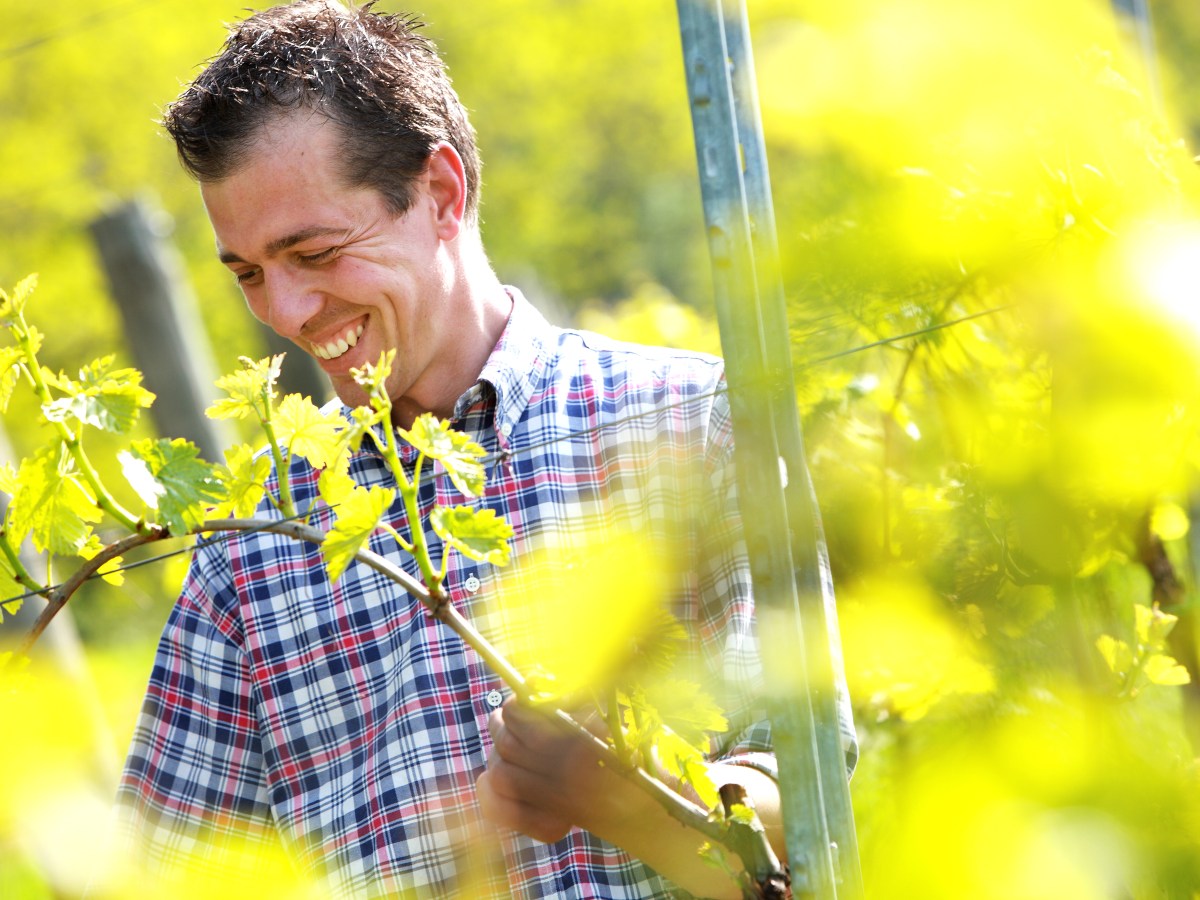 Luca Ferraro di Fivi, serve la riforma dei&nbsp;consorzi