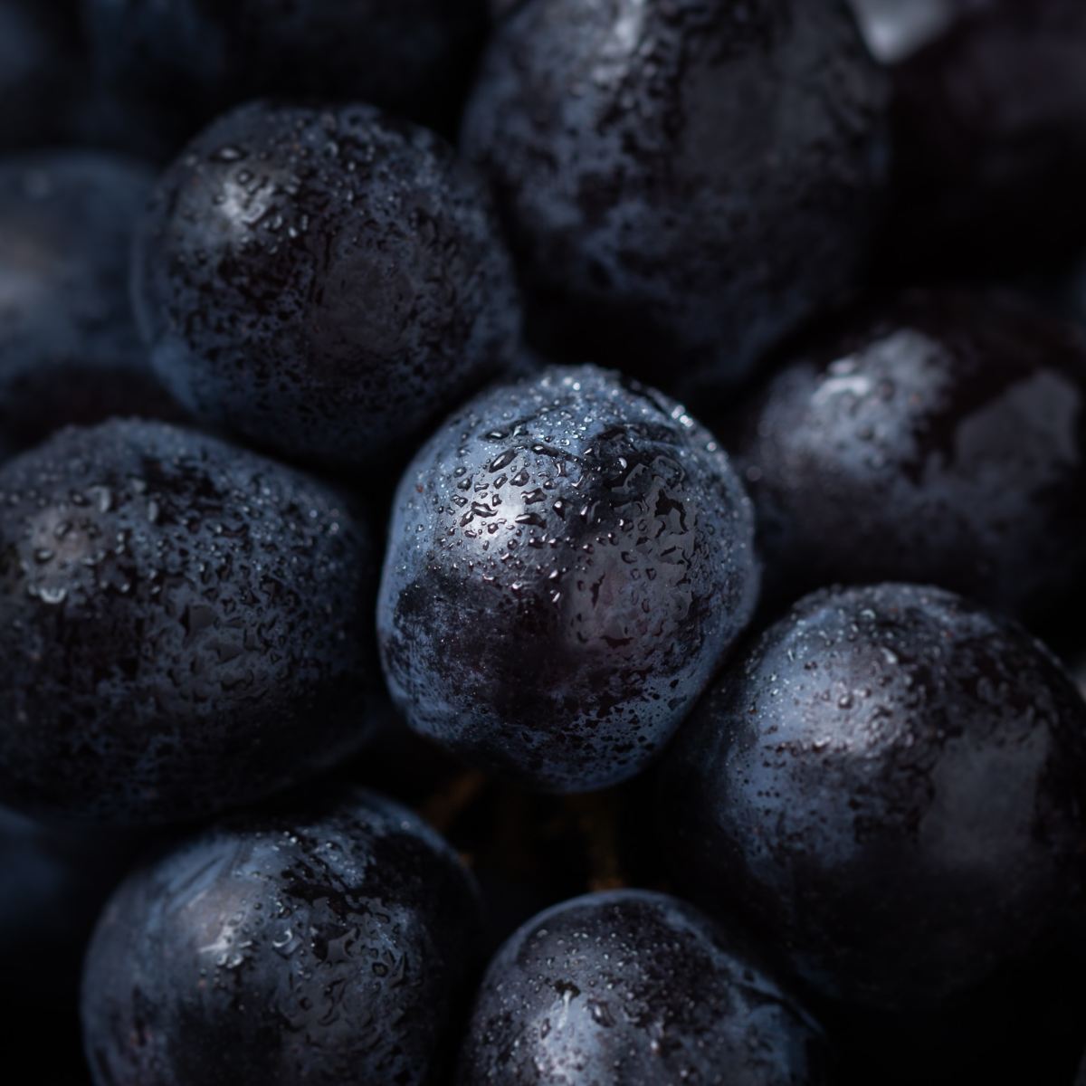 Andrea Fattizzo: i vitigni pugliesi possono emergere grazie agli&nbsp;internazionali